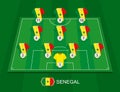 Soccer field with the Senegal national team players