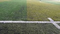Soccer field striped grass