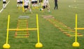 Soccer field with training equipment and players with coach in background