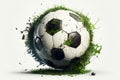 Ultra-Detail Beautiful Soccer Spring Season, popular or the most searched in stock photos Royalty Free Stock Photo