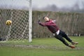 Soccer or footbal goalkeeper Royalty Free Stock Photo