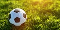 Soccer, football ball on grass. Banner