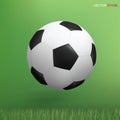 Soccer football ball on green grass area background. Vector Royalty Free Stock Photo