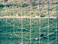 Soccer or football corner lines through safety net Royalty Free Stock Photo