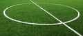 Soccer football field stadium grass line Royalty Free Stock Photo