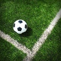 Soccer football field stadium grass Royalty Free Stock Photo