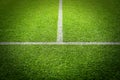 Soccer football field stadium grass Royalty Free Stock Photo