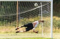 Soccer Football Goal Keeper making Save