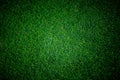 Soccer football grass field Royalty Free Stock Photo