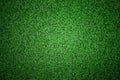 Soccer football grass field