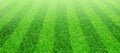 Soccer football grass field