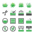 Grass icon set vector and illustration