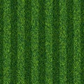Soccer, football stripe field backdrop. Grass seamless texture. Vector illustration. Green lawn stadium background Royalty Free Stock Photo