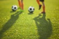 Soccer Football Training Session for Youth Junior Team. Boys Training Soccer on Grass Pitch Royalty Free Stock Photo