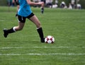 Soccer Game Royalty Free Stock Photo