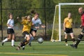 Soccer Girls Varsity Royalty Free Stock Photo