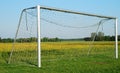 Soccer goal on blooming meadow