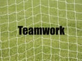 Soccer Goal Net and words