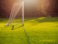 Soccer goal post in a green field, Selective focus, warm sunny day, Sun flare, dark trees in the background. Concept football Royalty Free Stock Photo