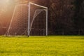 Soccer goal post in a green field, Selective focus, Warm sunny day, Sun flare, dark trees in the background. Concept football Royalty Free Stock Photo