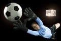 Soccer Goalie Royalty Free Stock Photo
