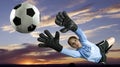 Soccer Goalie Royalty Free Stock Photo