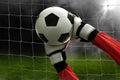 Soccer goalkeeper catches the ball Royalty Free Stock Photo