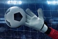 Soccer goalkeeper catches the ball Royalty Free Stock Photo