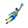 Soccer Goalkeeper catching the ball