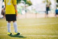 Soccer Goalkeeper on the Field. Football Training Game for Kids