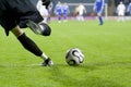 Soccer Goalkeeper Kick Royalty Free Stock Photo