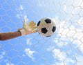 Soccer goalkeeper's hands reaching for the ball Royalty Free Stock Photo