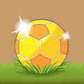 Soccer Gold Ball Field Grass Vector