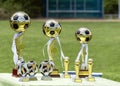 Soccer gold cup, trophy with golden football ball, awards ceremony at kids football tournament or championship