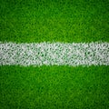 Soccer grass background