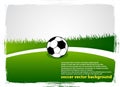 Soccer grass field Royalty Free Stock Photo