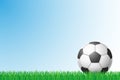 Soccer grass field vector illustration Royalty Free Stock Photo