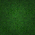 Soccer grass texture