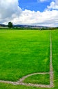 Soccer green field