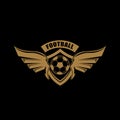 Set of football club logos, soccer ball. Soccer ball emblem, shield. Football school tournament, goal, competition, star, fire,