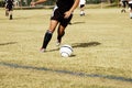 Soccer kick Royalty Free Stock Photo