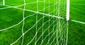 Soccer net on green grass Royalty Free Stock Photo