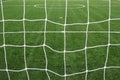 Soccer net on green grass Royalty Free Stock Photo