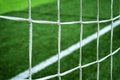 Soccer net on green grass