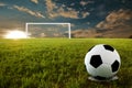 Soccer penalty kick Royalty Free Stock Photo