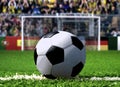 Soccer Penalty Kick Royalty Free Stock Photo