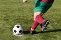 Soccer player Royalty Free Stock Photo