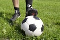 Soccer player Royalty Free Stock Photo