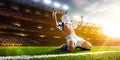 Soccer player in action Royalty Free Stock Photo