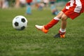 Soccer player kick ball on a grass pitch. Football ball in motion